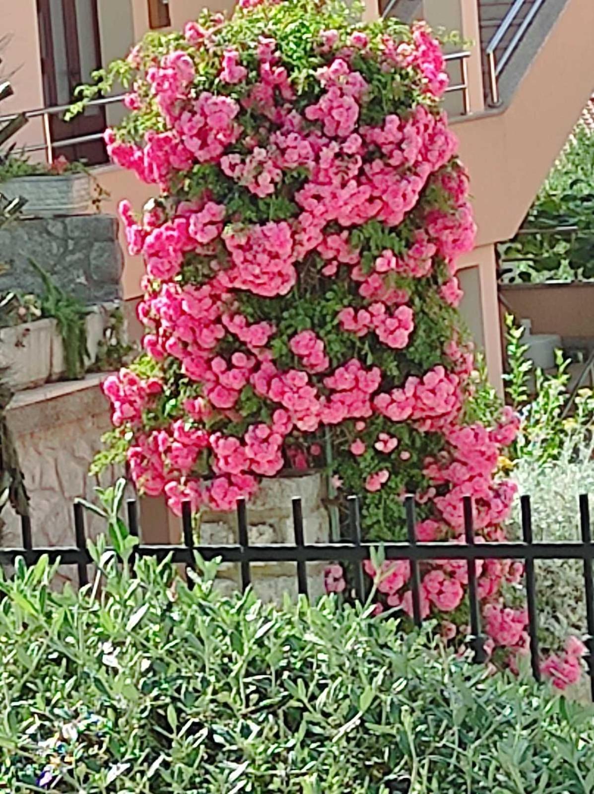 Apartmani Paradiso 克尔克 外观 照片